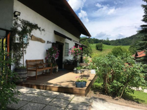 Landhaus Fay B&B Bad Ischl